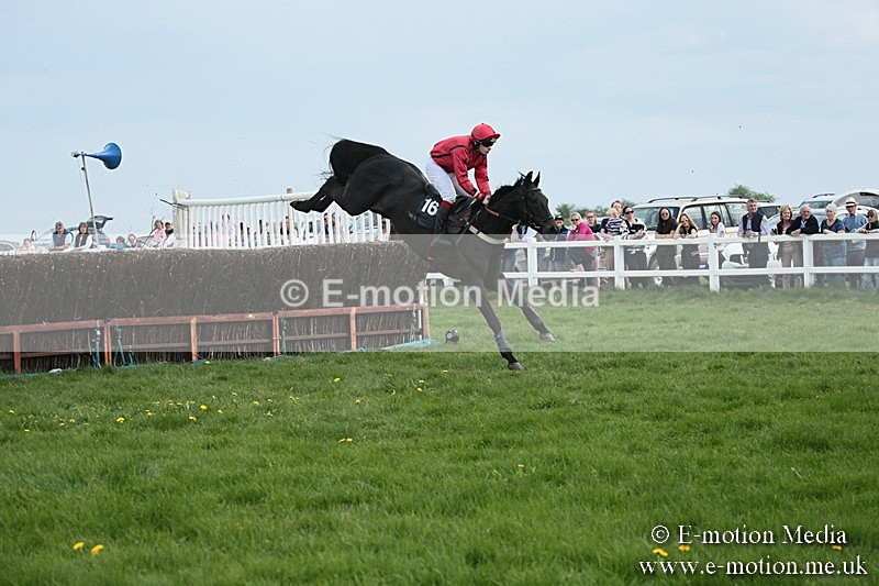 PtP 210418 209 - South & West Wilts Point-to-Point Larkhill 21/04/18