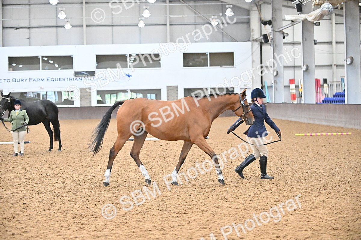 SBM_000250 - Class 7 - ROR Tattersalls In Hand