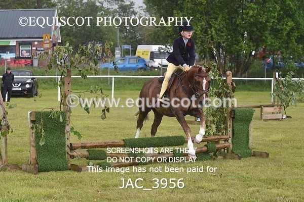 JAC_3956 - 55cm WORKING HUNTER