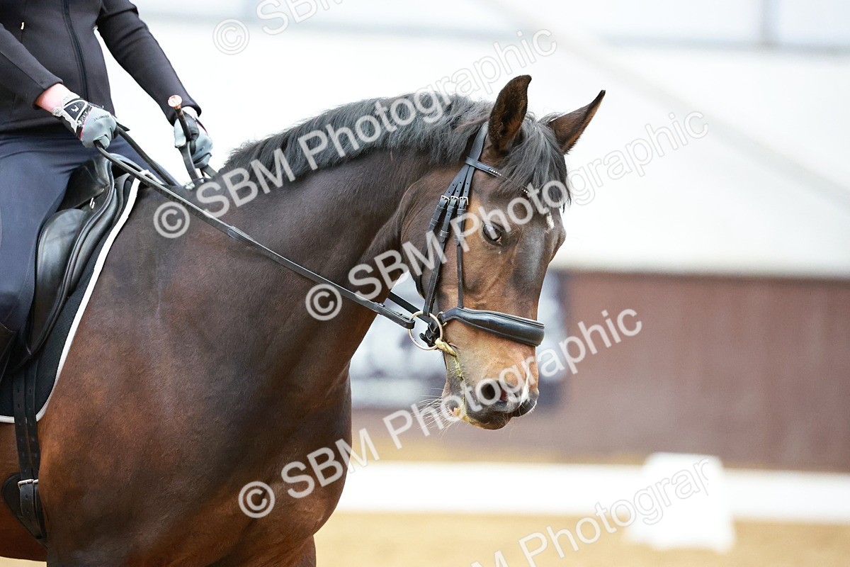 1I0A0755 - Class 3-6 - Prelim 1-Novice 2