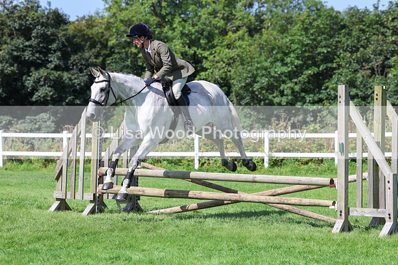 3E7A8575 - Class 5: Working Show Horse