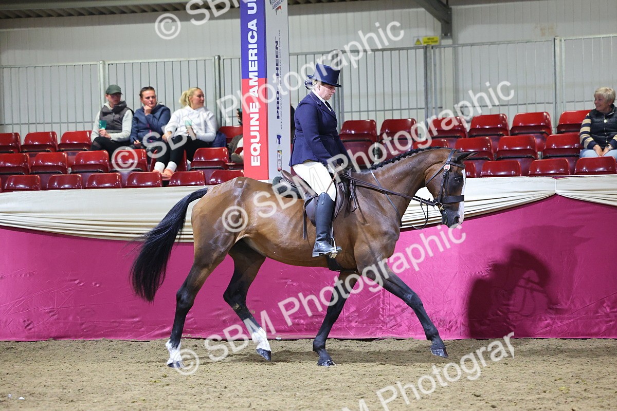 0B8A4581 - Class Q Style & Performance Champ