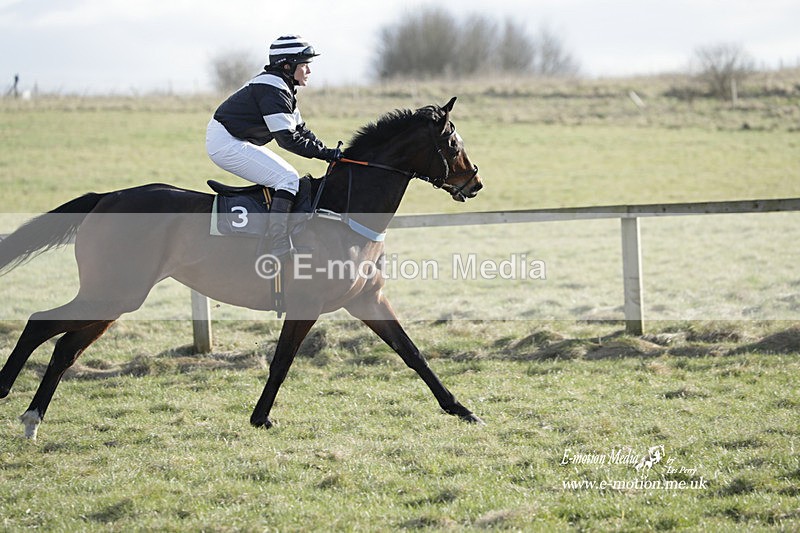 PtP 260223 1134 - South & West Wilts Point-to-Point Larkhill 26/02/23