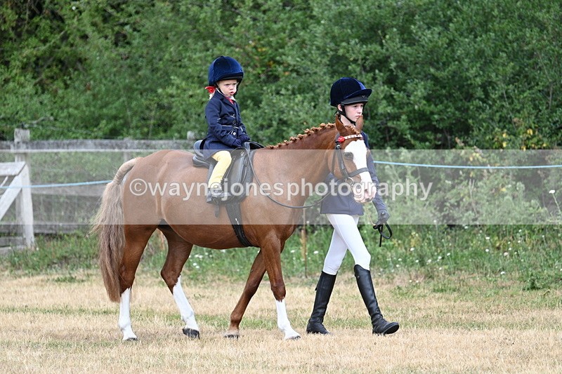 WJ7_9579 - Class 1 Lead Rein Pony