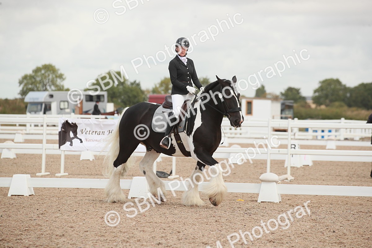 SBM_03817 - Class 31 - Prelim 1