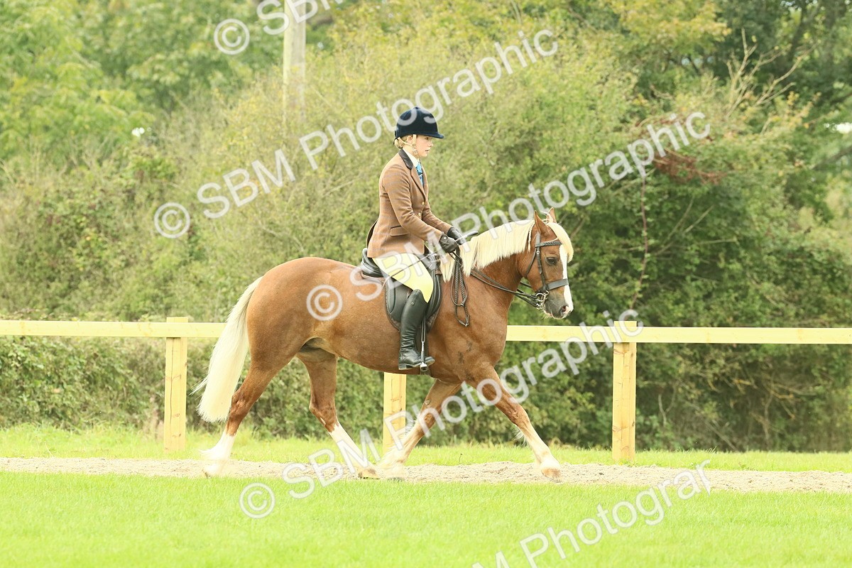 SBM_71852 - S60 - Mountain & Moorland Ridden Large Breeds