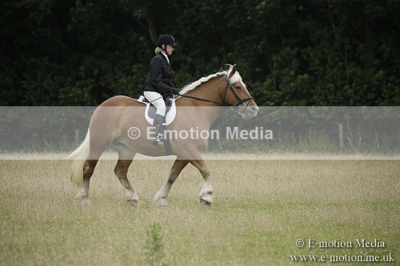 B230619-0006 - Bourne Valley Riding Club Summer Show 23/06/19