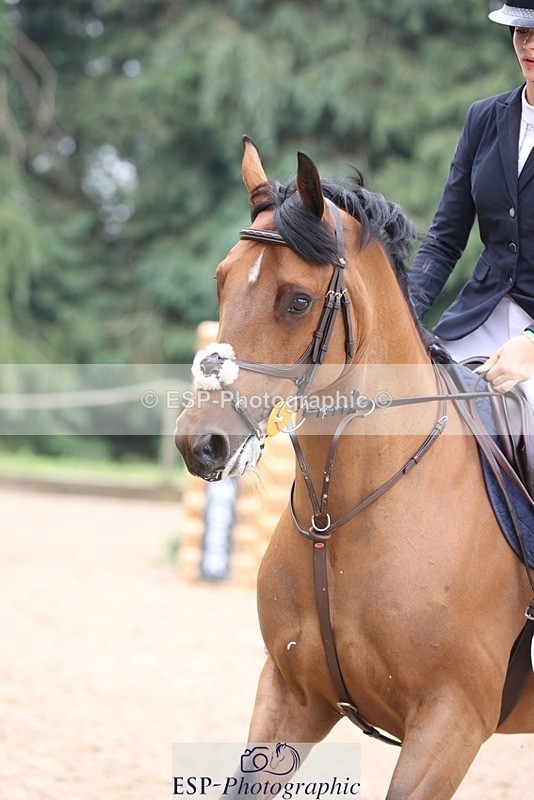 230618-103037-10165 - Cls 19 Pony Intro 1m