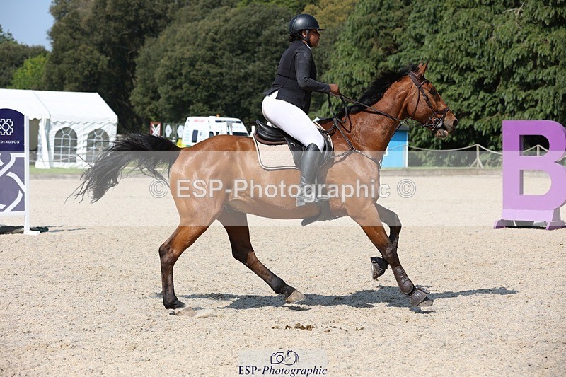 230513-153700-07588 - Cls 22 Snr Fox