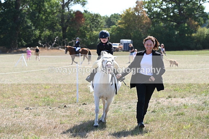 WJ6_7886 - Class 36 Lead Rein
