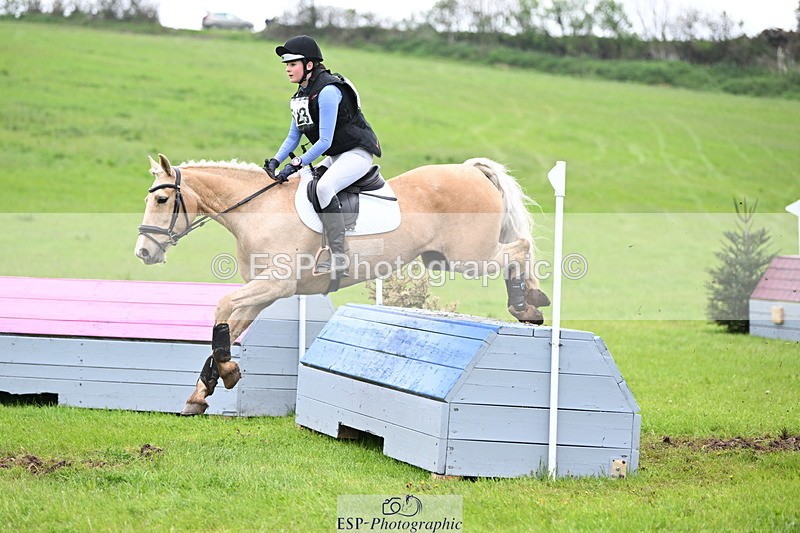 250419-125945-10479 - 523-Kate.Hicks-SWALLOWCROFT.STARDUST