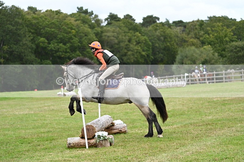 WJ7_8685 - 60cm Time 12:31 to 12:50