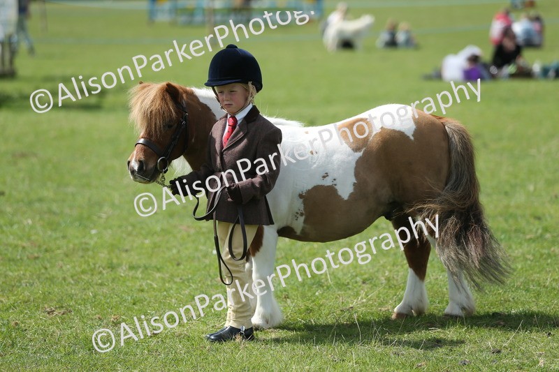 20250427-4121 - Class 11 - Best Child Handler