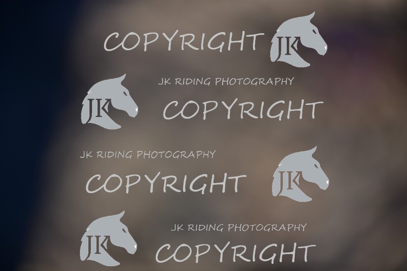 SBP_1071 - 10am - 11am