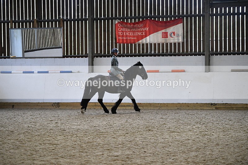 WJ5_7884 - Class 13 Ridden Part Breed