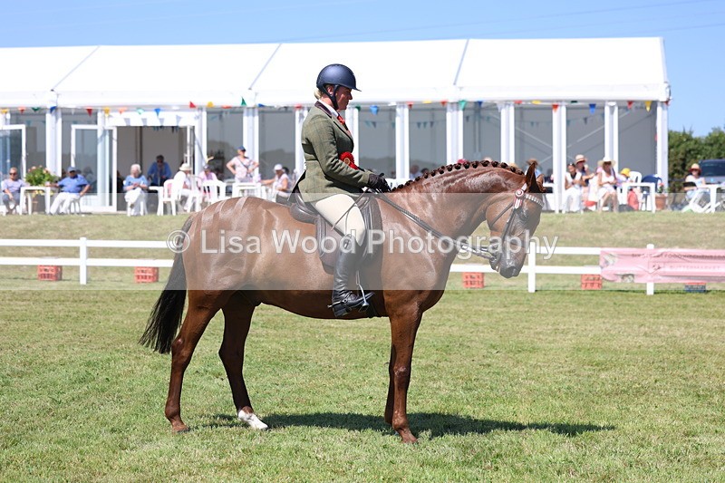 3E7A7909 - Class 7: Open Riding Horse