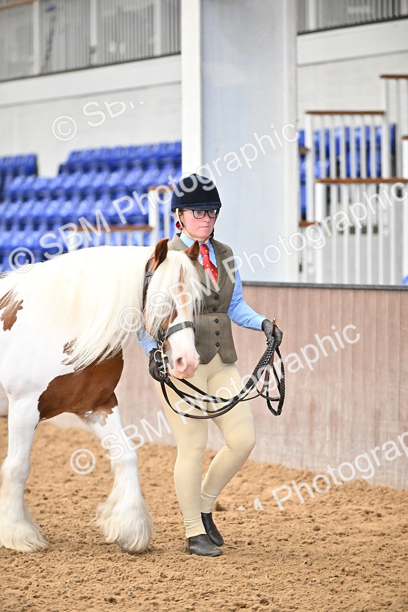 SBM_000268 - Class 10 - In Hand Coloured & Odd Coloured