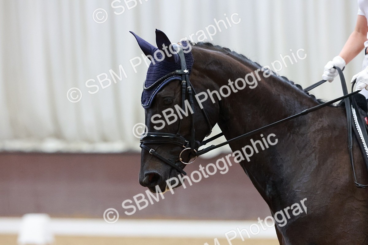 SBM_002361 - Novice 2 - Elementary 1