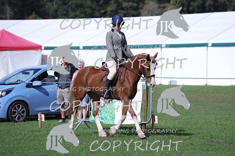 APP_3055 - Class 11 Veterans ridden