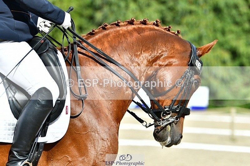 230623-164531-02892 - Cls 9 Advanced Medium 91Q