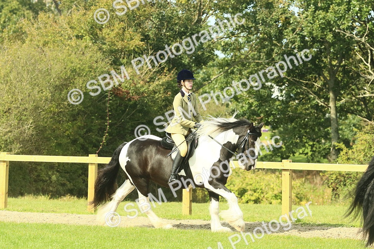 SBM_67452 - S56 - Coloured Pony Ridden