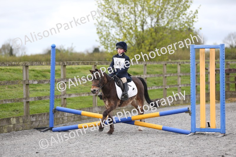 20260412-0557 - Show Jumping