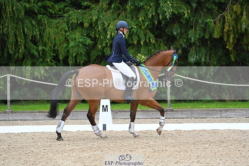 230813-163027-08340 - Medium Bronze Presentations