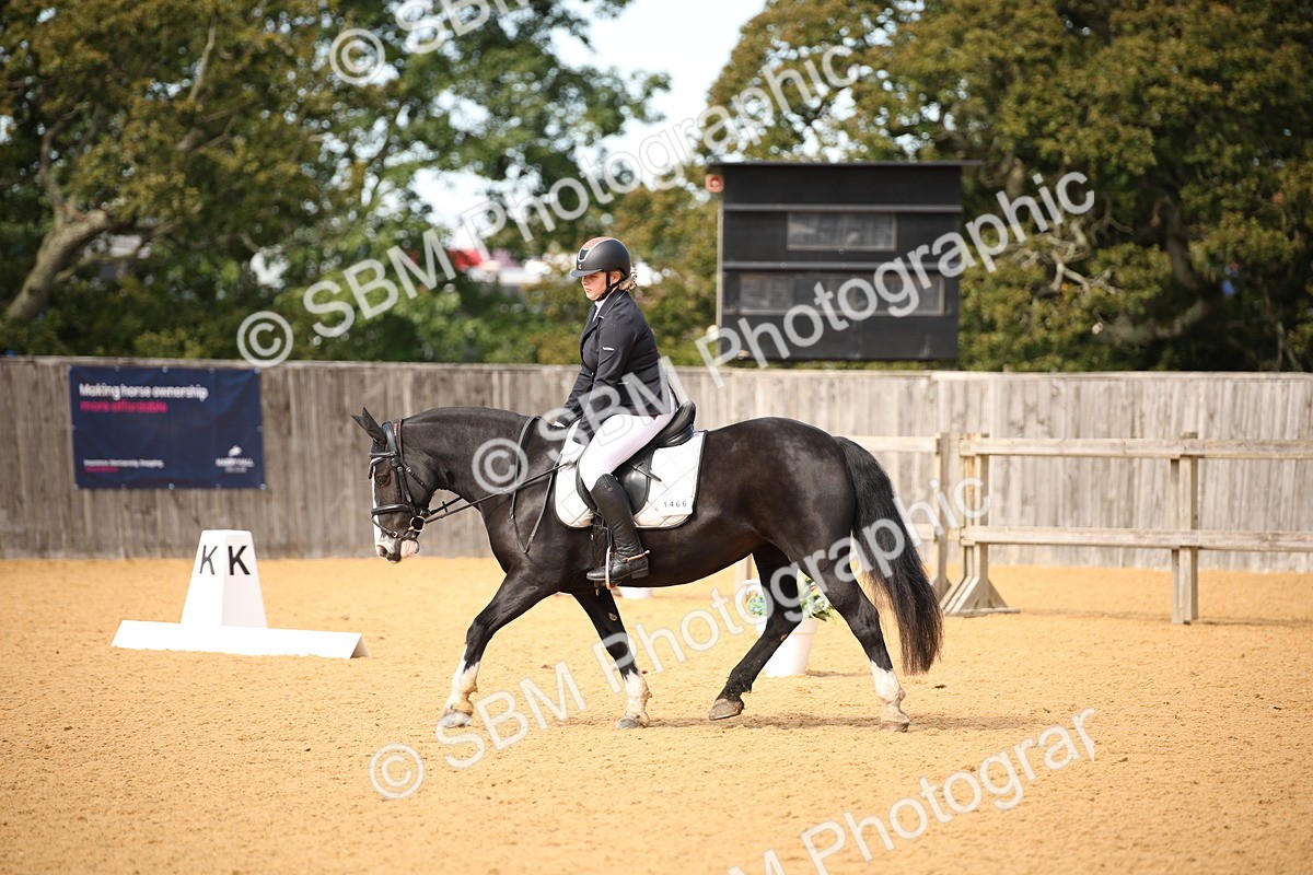 SBM_24096 - D5 - Small Tour Championship - Intro C