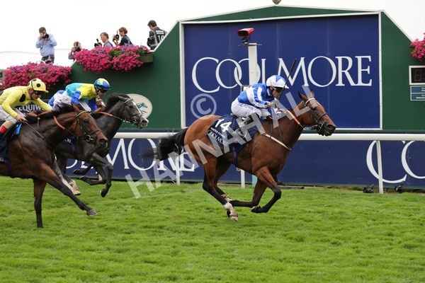 yr20082021r4-101 - Race 4 3.35pm Coolmore Wootton Bassett Nunthorpe Stakes (British Champions Series Race)