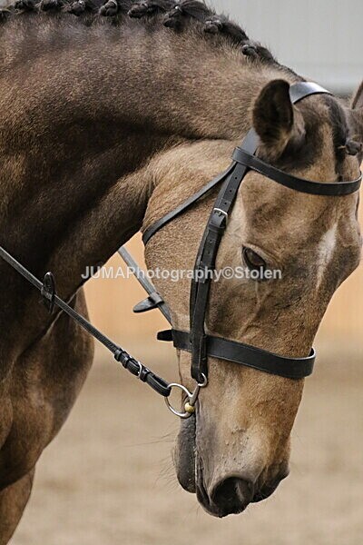 SIAL2757 - Sunday 14th Ridden