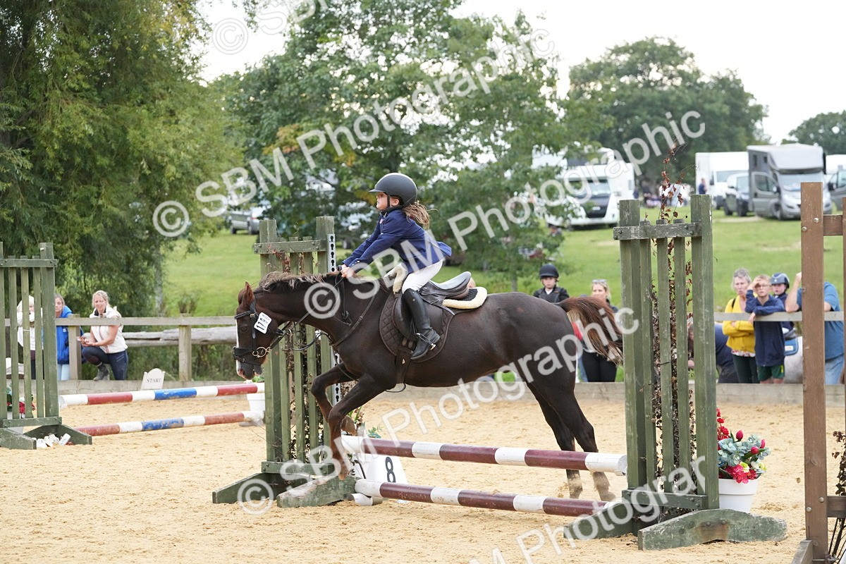 SBM_74543 - J4 - Mini Tour Junior Pony 45cm Championship