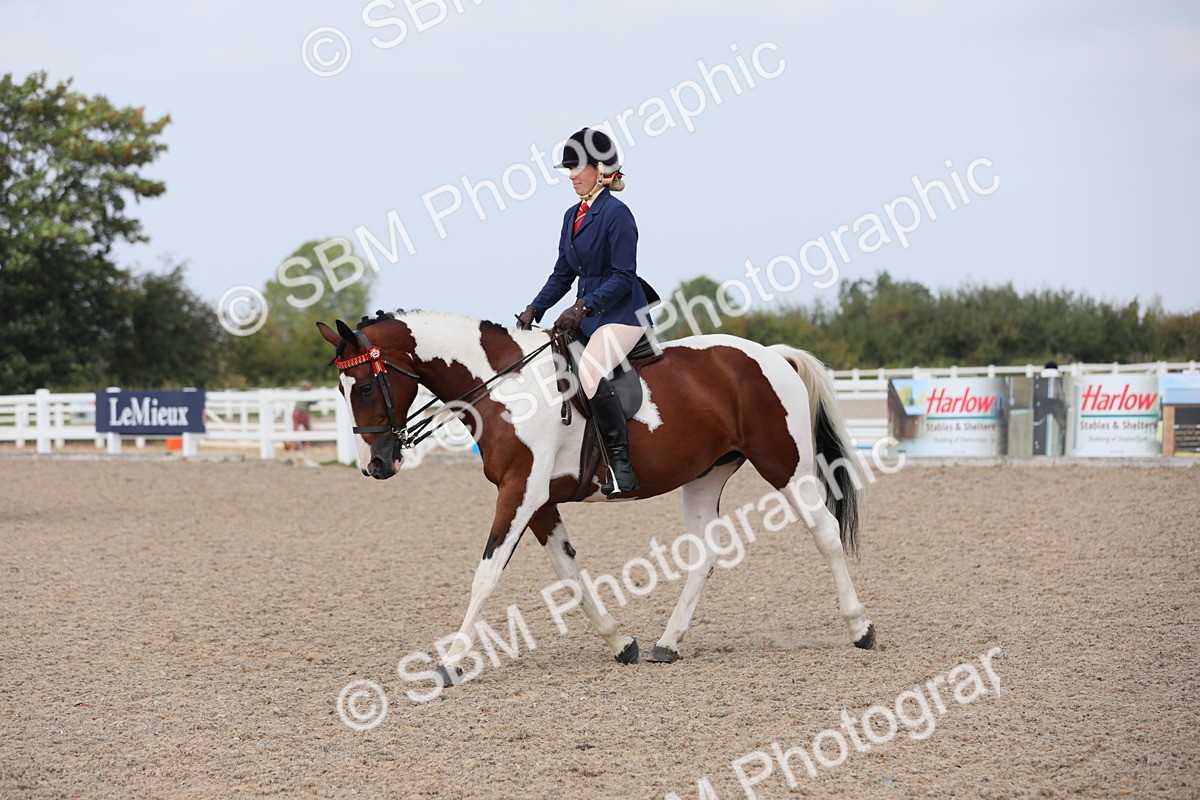 SBM_13446 - Class 308 Ridden Coloured Horse