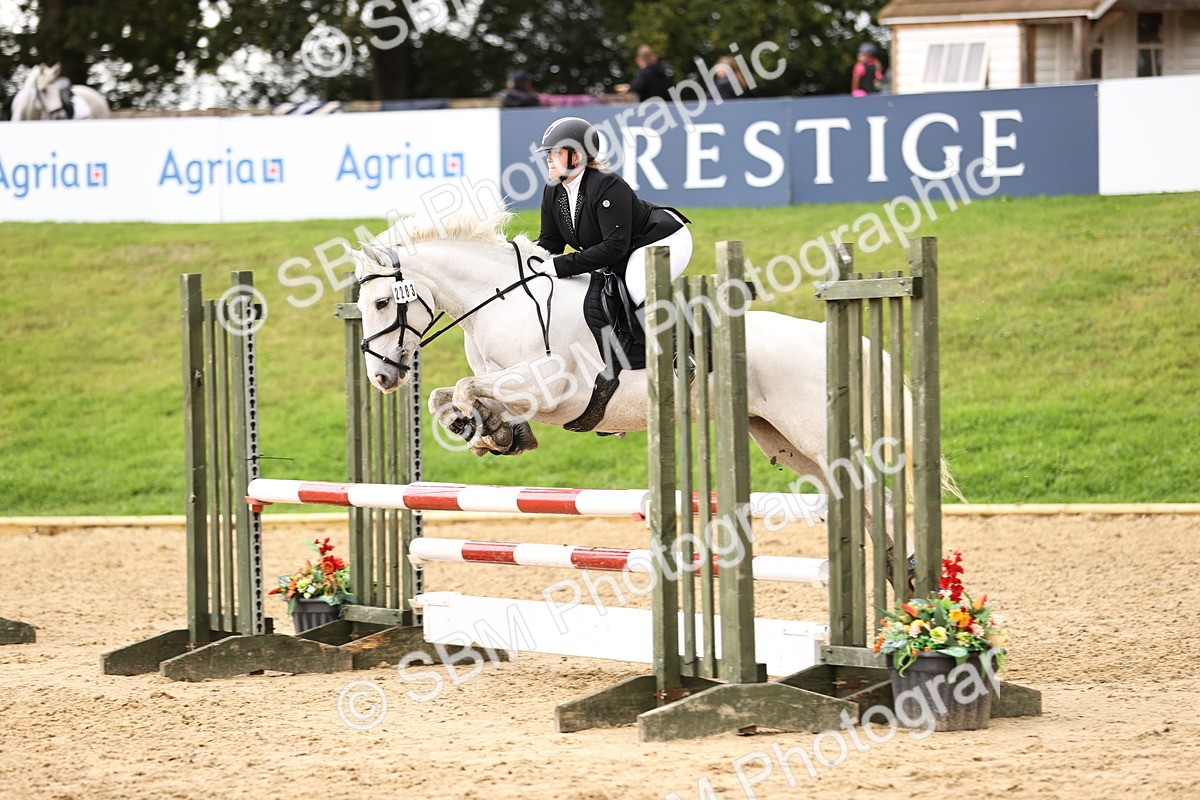 SBM_41989 - J40 Senior Horse & Pony 90cm Supreme Championship