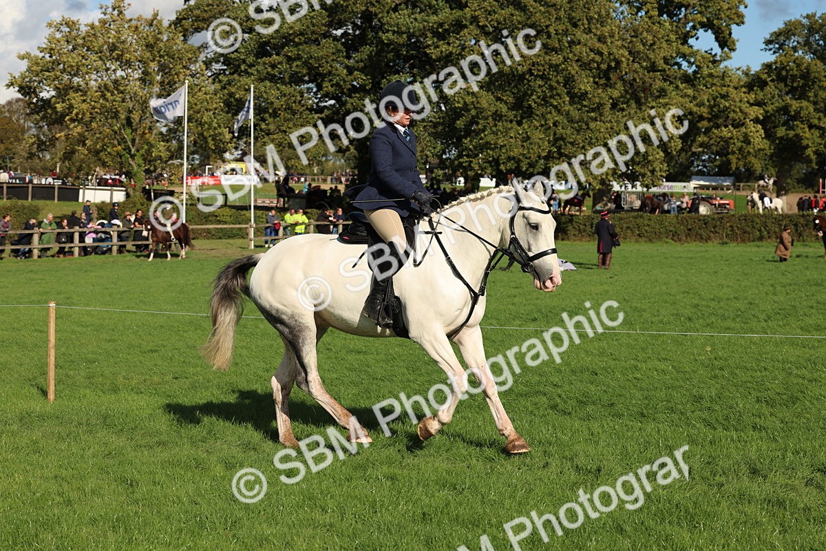 SBM_50095 - S34 - Novice & Newcomers Working Hunter