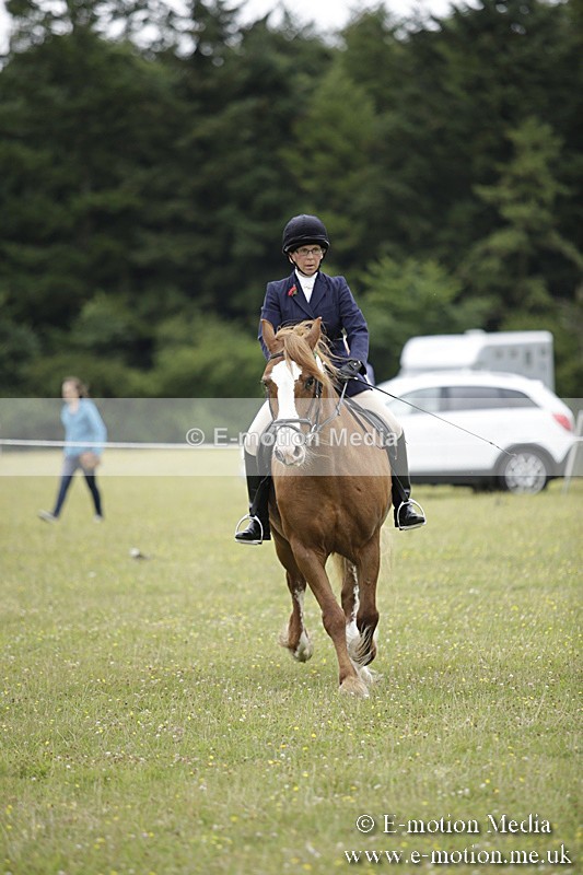 BVR160717-1540 - Ring 1 BVRC Show 16/07/17