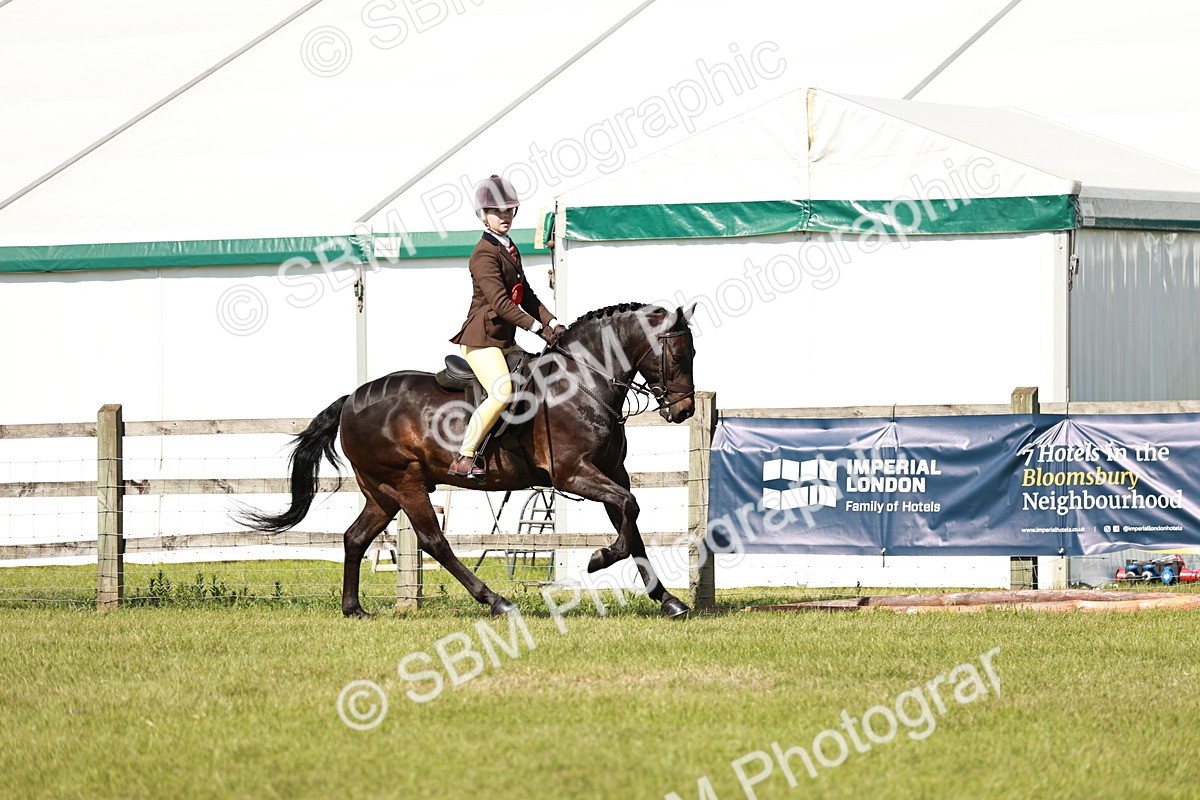SBM_18525 - Class 112-113 - BSPS LIHS Working Sports Pony