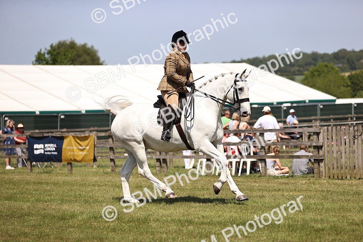 SBM_16101 - Class 79-80 - LIHS BSHA Rising Star Ridden Hunter