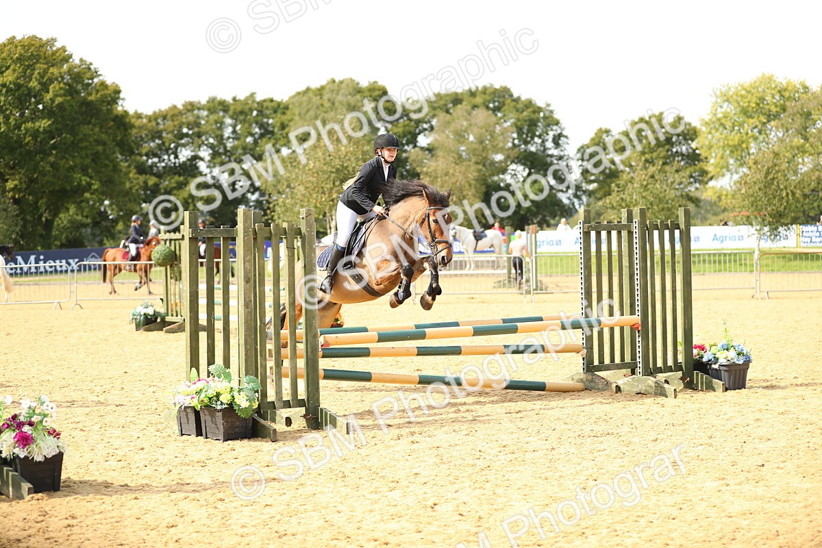 SBM_66198 - J17 - Junior Pony 80cm Championship
