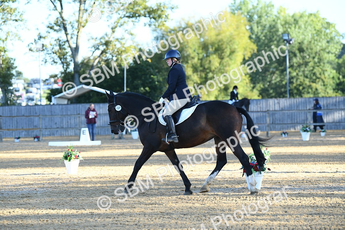 SBM_14379 - D4 - Small Tour Championship - Intro B