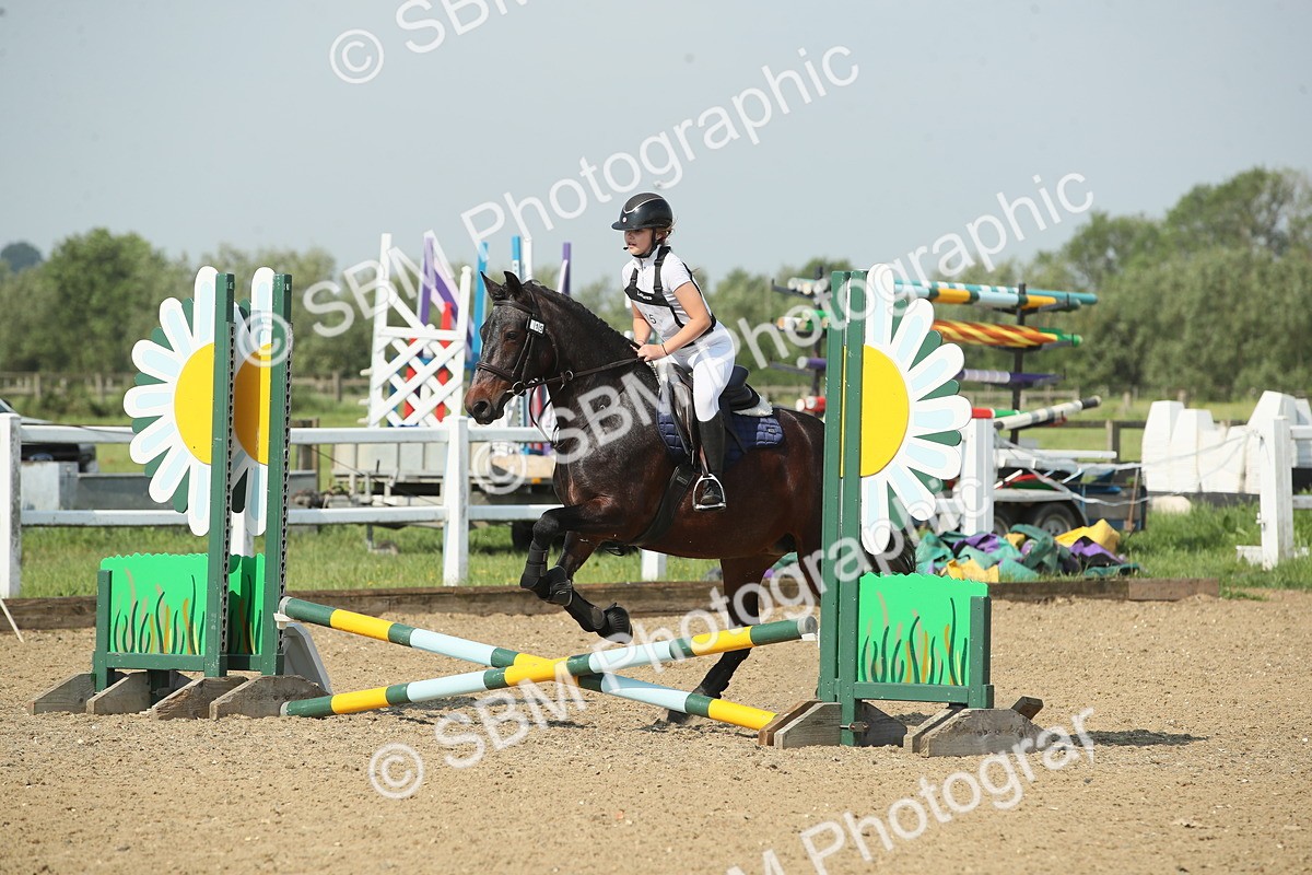 SBM_010738 - 50cm