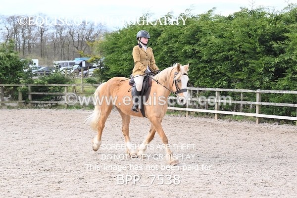 BPP_7538 - RING 1  (RIDDEN HORSES / IN HAND / VETERAN ETC)