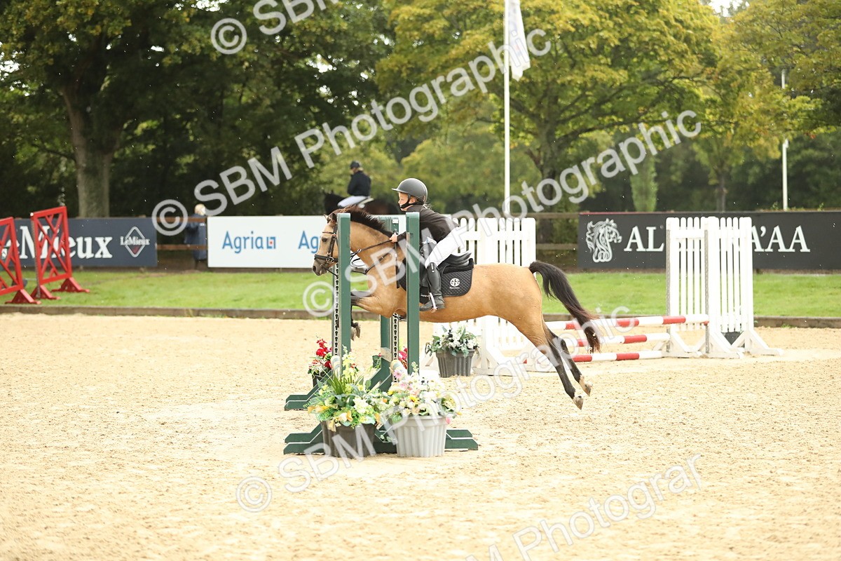 SBM_34274 - J60 Clear Round 50cm