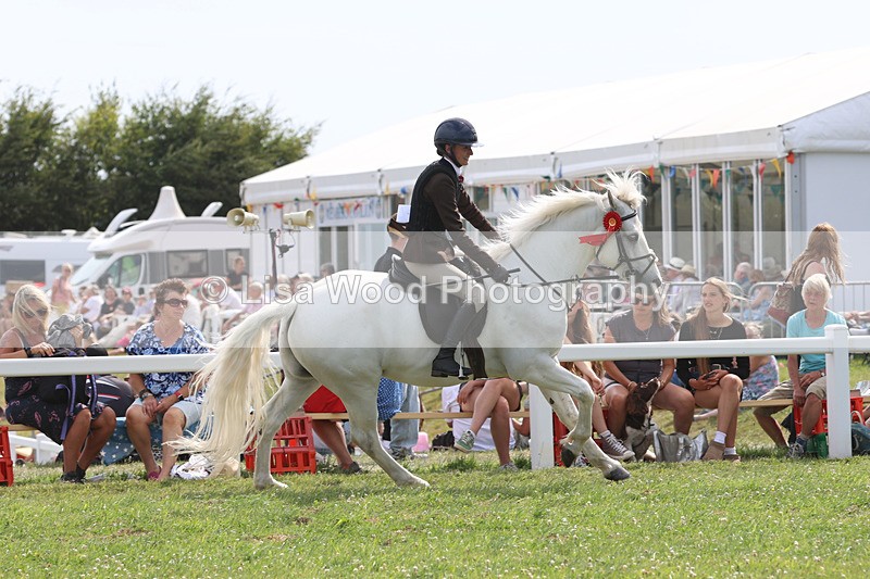 JPP_3973 - Class 23: Working Hunter 80cm