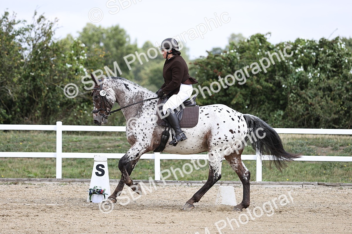 SBM_016846 - Class 14 Novice 23 - 11.53-12.56