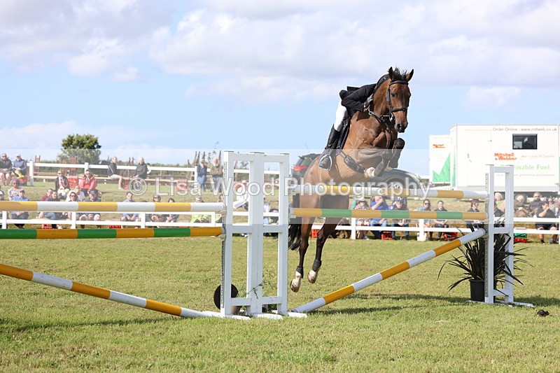 3E7A3566 - Class B: Showjumping Accumulator