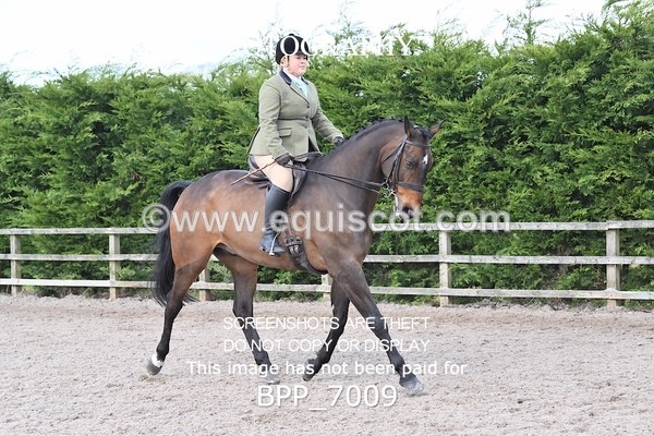BPP_7009 - RING 1  (RIDDEN HORSES / IN HAND / VETERAN ETC)