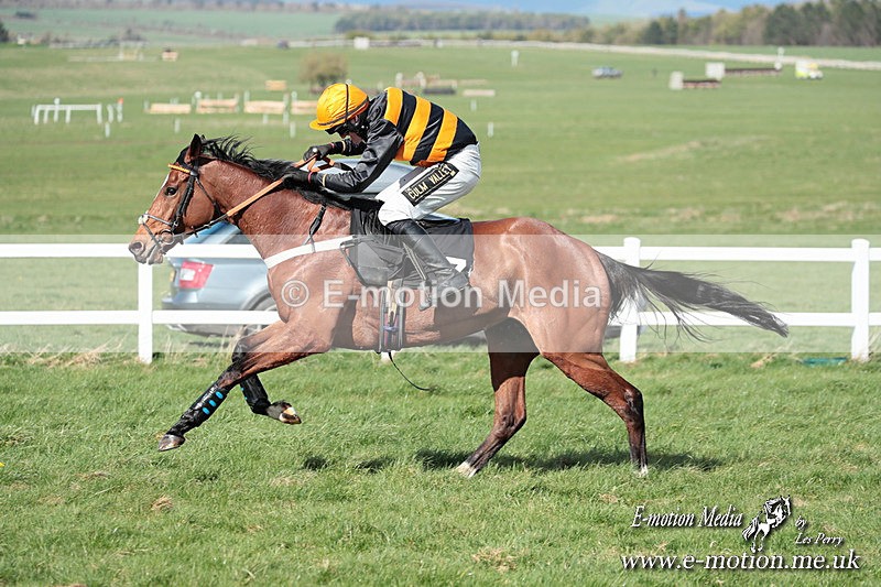 PtP 230324 570 - Tedworth Hunt PtP Larkhill Raccourse 23rd March 2024