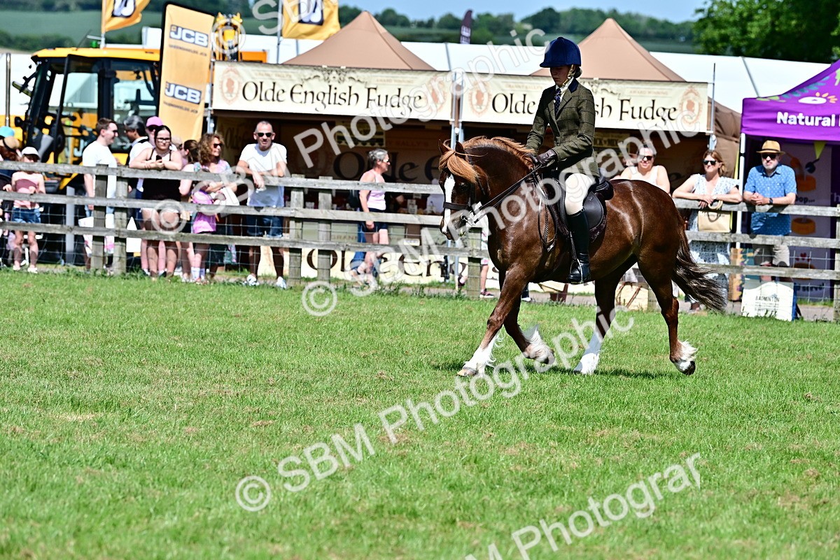 SBM_07943 - Class 61-62 - TSR  M&M Ridden Amateur of the Year