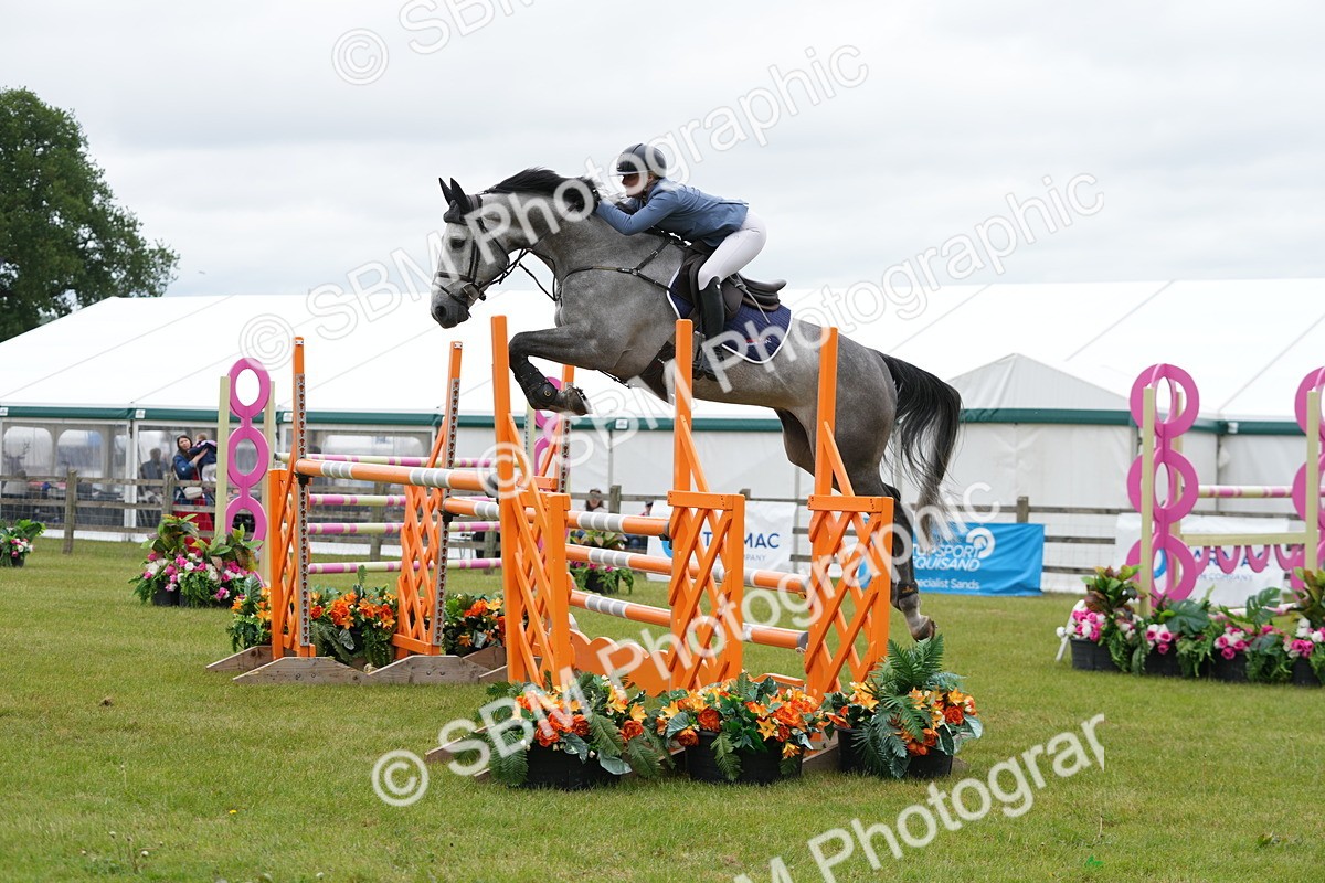 SBM_03177 - Class 201 - British Horse Feeds Speedi Beet Horse of the Year Show Grade  C