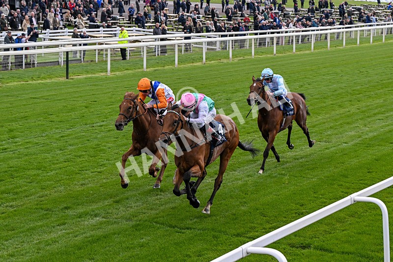130526-Race 5-Legacy Link-0310 - Race 5 4.05pm Tattersalls Musidora Stakes